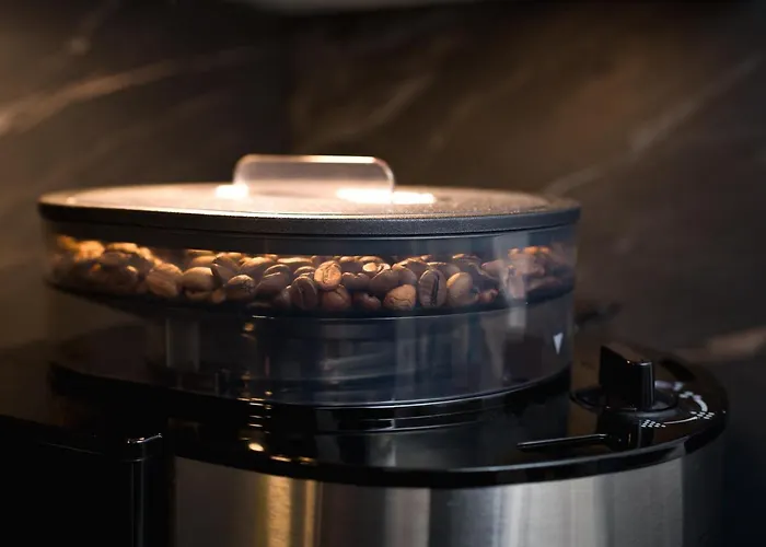 Forest - Nadmorskie Tarasy D409 Apartment *